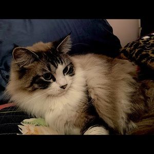 Meet your Posher, Jessica